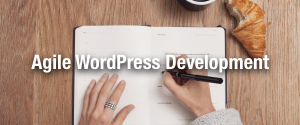 Agile WordPress Development